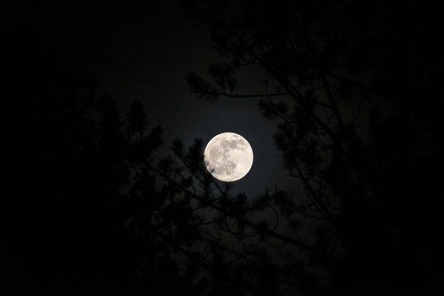 [PUISI] Sang Primadona Malam