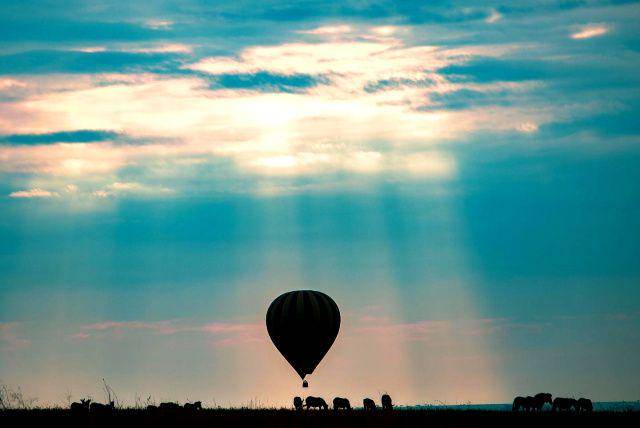 balon udara di Taman Nasional Serengeti (instagram.com/kingsonmazee)