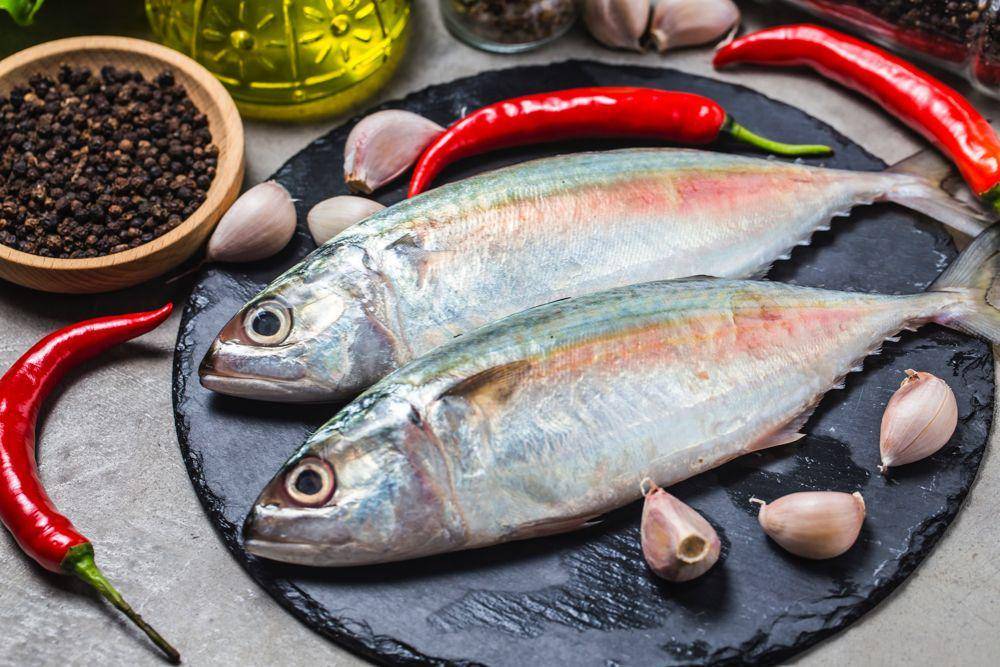 ilustrasi ikan kembung (freepik.com/Dashu83)