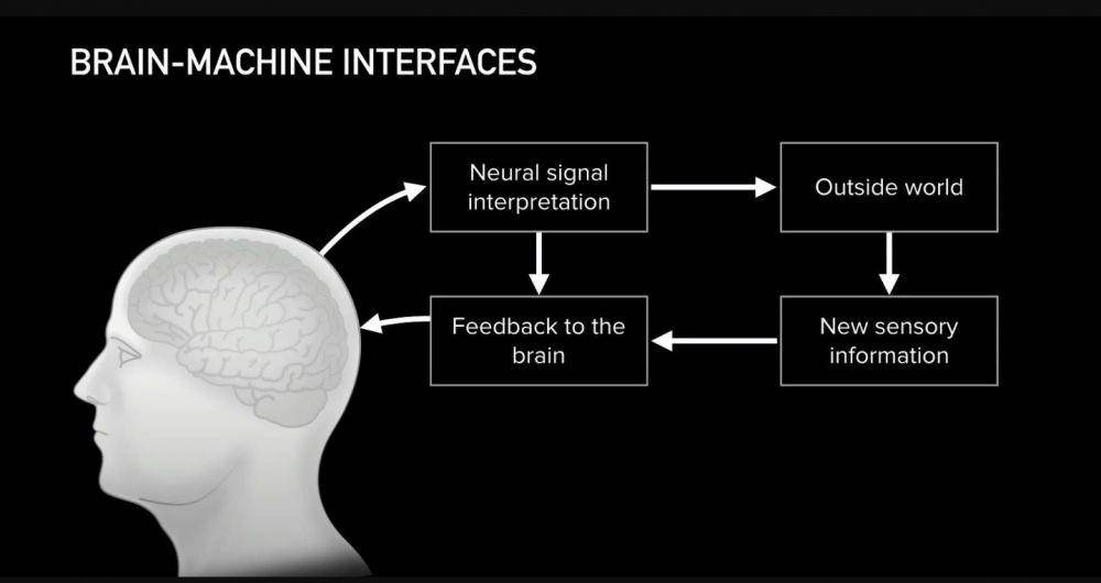 Ilustrasi Neuralink (youtube.com/Neuralink)