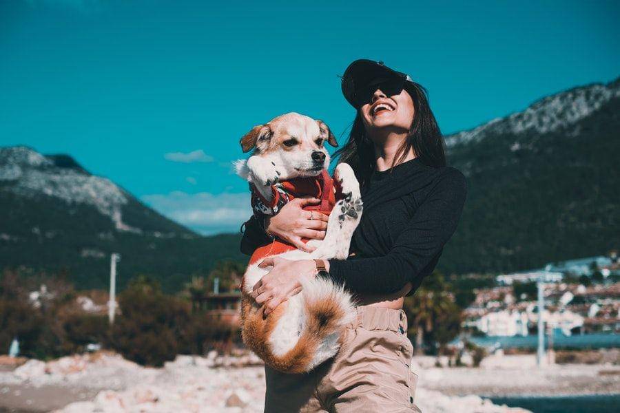 ilustrasi seorang perempuan menggendong dengan seekor anjing (pexels.com/Furkan Tumer)
