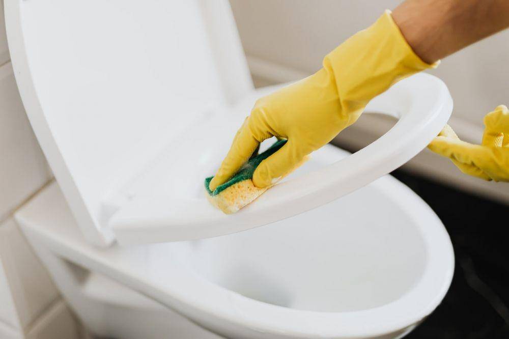 ilustrasi membersihkan dudukan toilet (pexels.com/Karolina Grabowska)