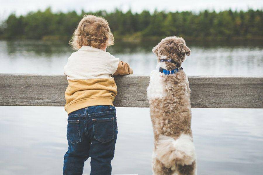 ilustrasi seorang anak kecil dengan seekor anjing (pexels.com/Stephen Andrews)