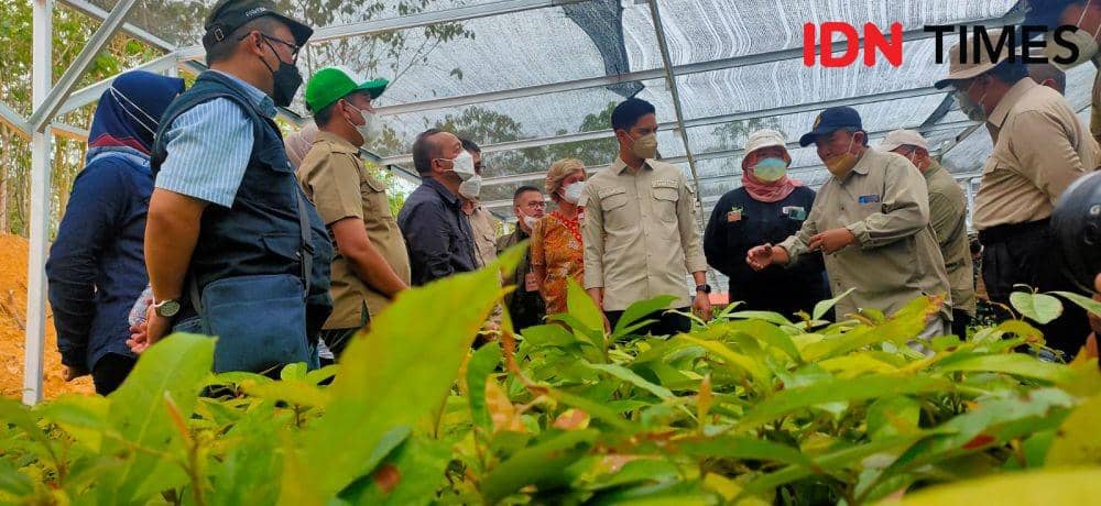 Dekan Fakultas Kehutanan Se Indonesia untuk melihat langsung Ibu Kota Negara (IKN) Nusantara, Selasa (22/3/2022). (IDN Times/Hilmansyah)