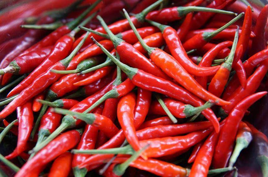 cabe merah (unsplash.com/elletakesphotos)