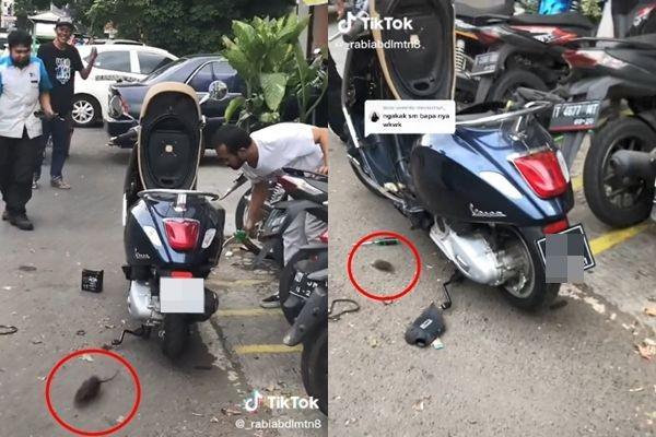 Geli! Motor Ini Jadi Sarang Tikus karena Jarang Dipakai