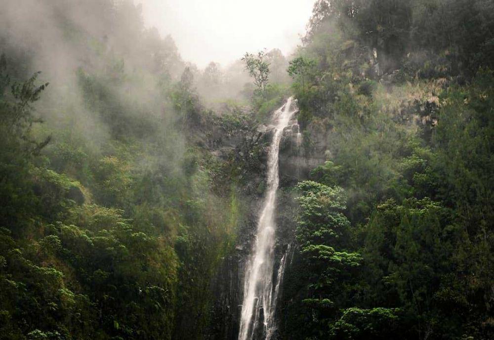5 Air Terjun Tertinggi di Jawa Timur, Pemandangannya Eksotis!