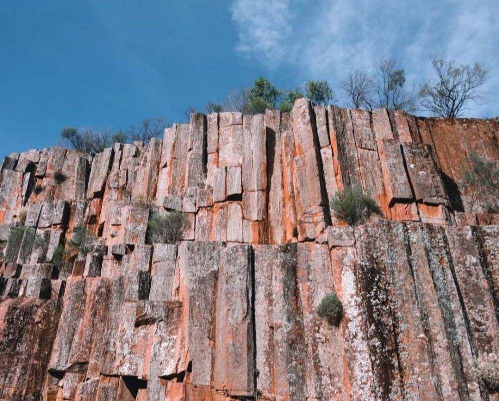 Organ Pipes (instagram.com/workshop26_kimba)