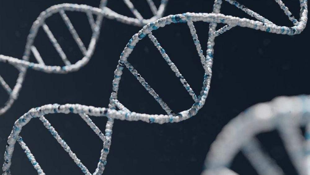 Terapi Stem Cell Bisa Menangani Penyakit Bawaan, Ini Kata Pakar