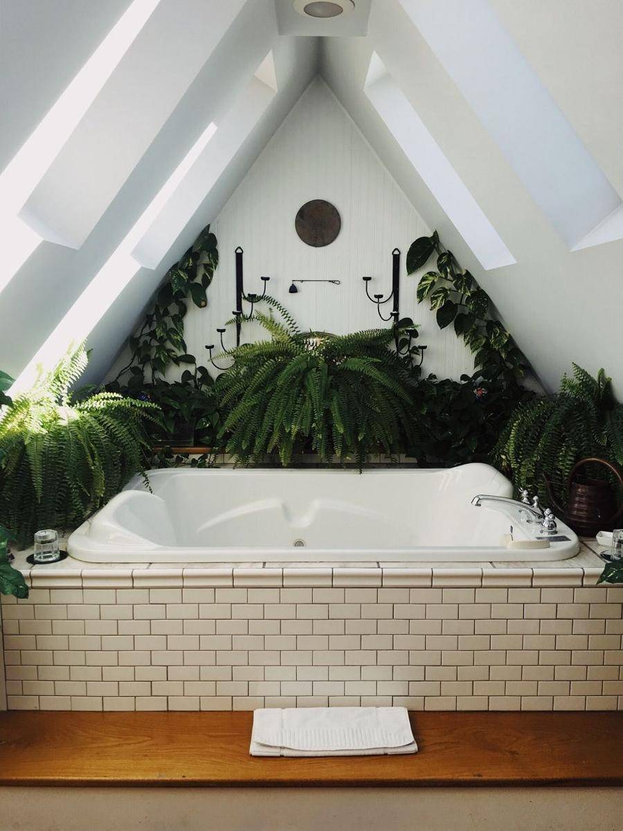 Ilustrasi kamar mandi dengan tanaman hias (unsplash.com/@lmoyneur)