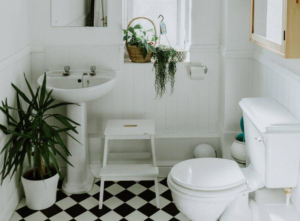 Ilustrasi kamar mandi dengan tanaman hias (6sqft.com)