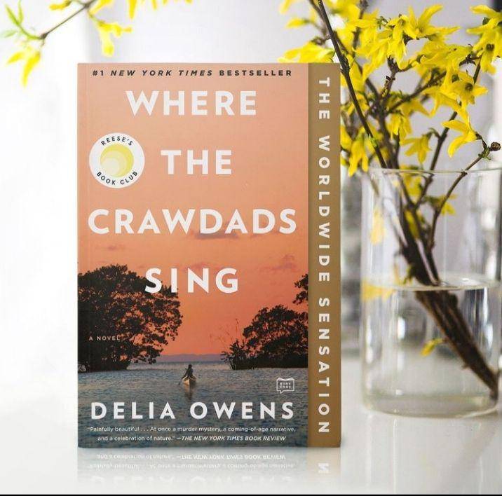 novel Where the Crawdads Sing (instagram.com/crawdadsmovie)