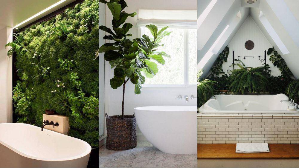 Ilustrasi kamar mandi dengan tanaman hias (plantboye.com|roohome.com|unsplash.com/@lmoyneur)