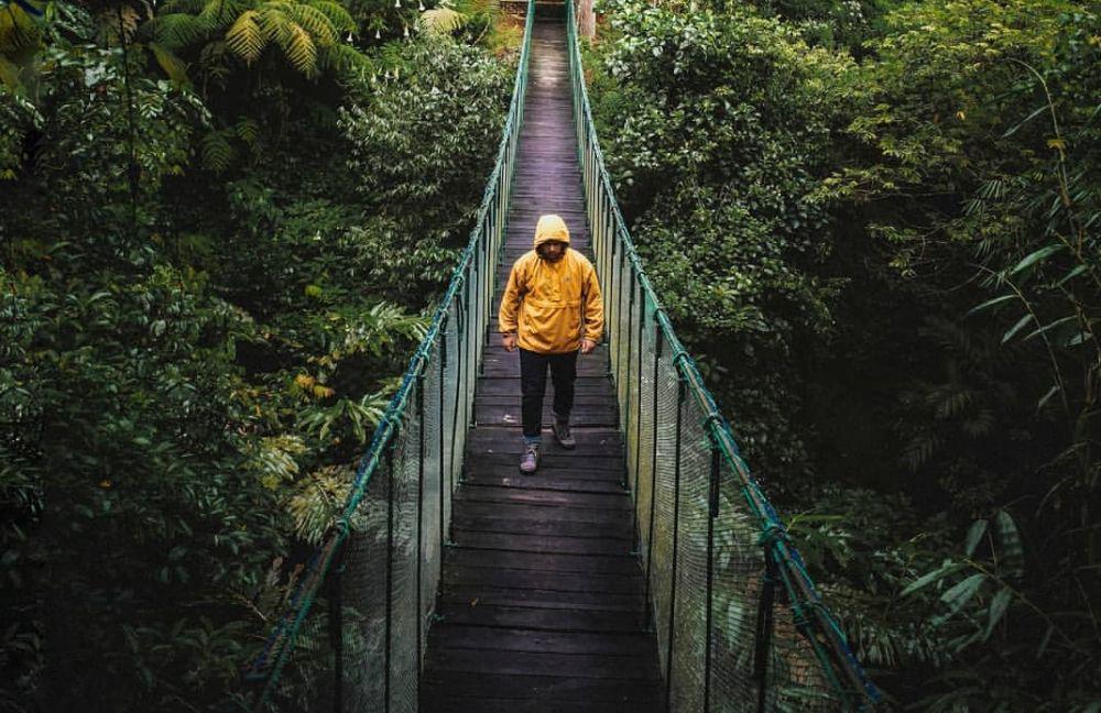 5 Tempat Wisata di Bogor dengan Kanopi Trail, Instagramable Abis!