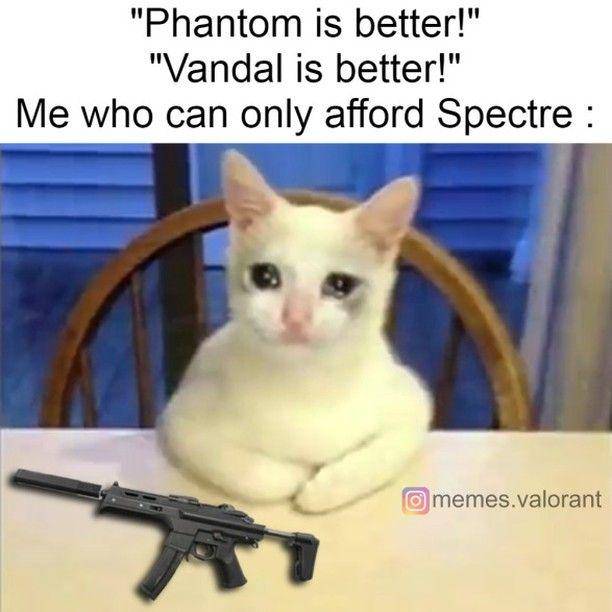 (instagram.com/memes.valorant)