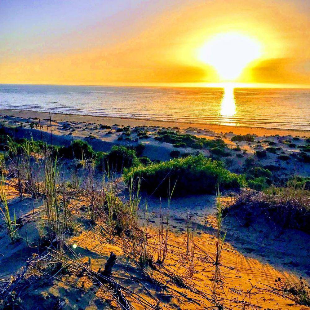 potret Hadjadj Plage (instagram.com/doudine_mag)