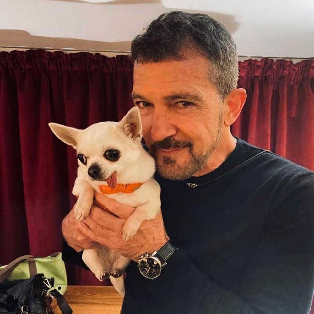 Antonio Banderas (instagram.com/antoniobanderas)