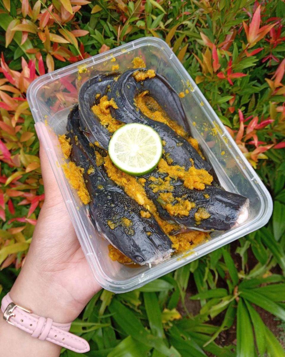 ikan lele (instagram.com/diskondijogja)