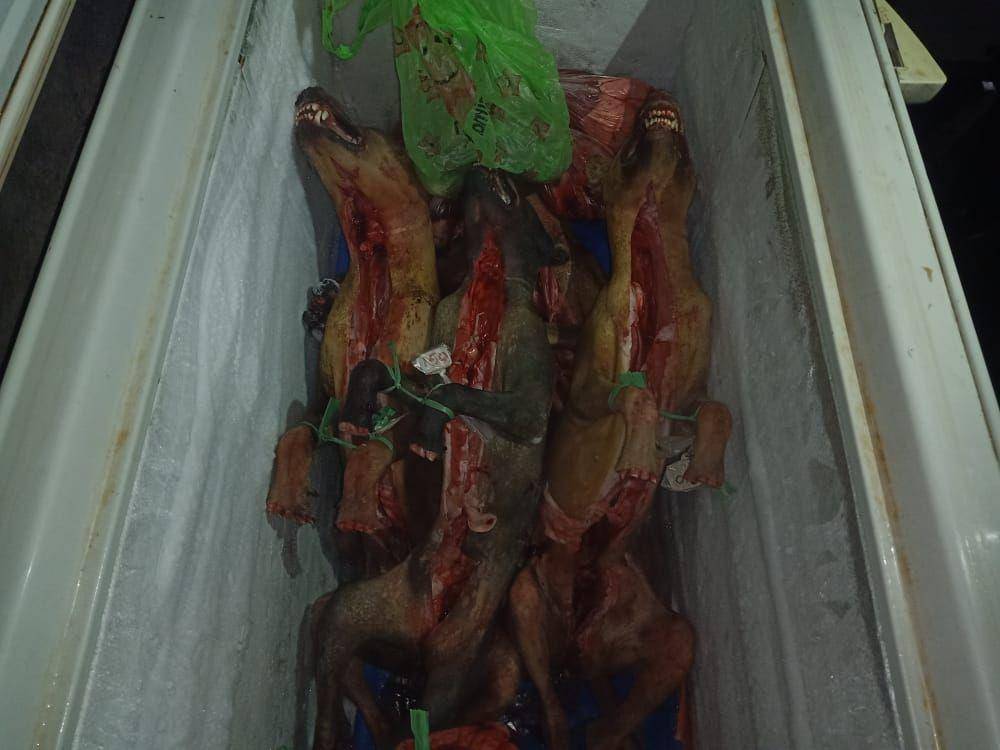 Hewan Anjing yang disimpan di freezer. IDN Times/ dok Humas Polres Blitar