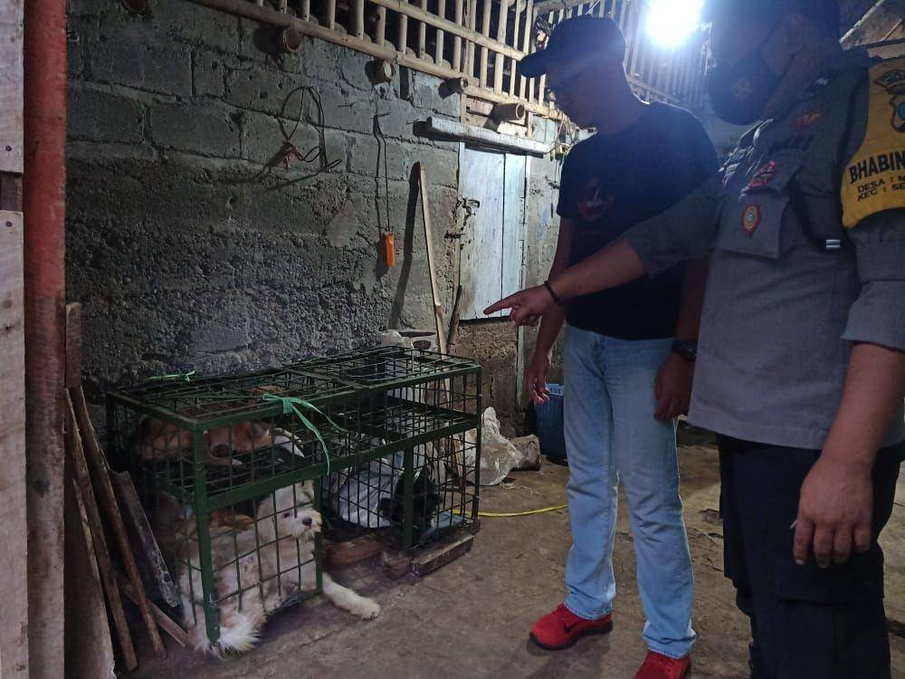 Hewan Anjing yang berada di lokasi Jagal di Blitar. IDN Times/ dok Humas Polres Blitar