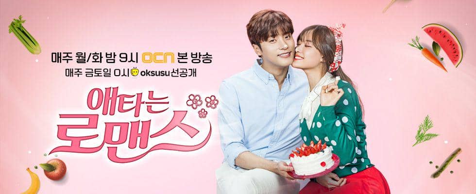 poster KDrama My Secret Romance. (dok. OCN/My Secret Romance)