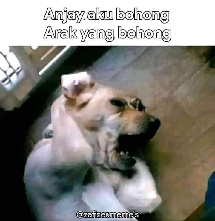 Ketika warganet sudah tak tahan meme (Facebook.com/Napriz)