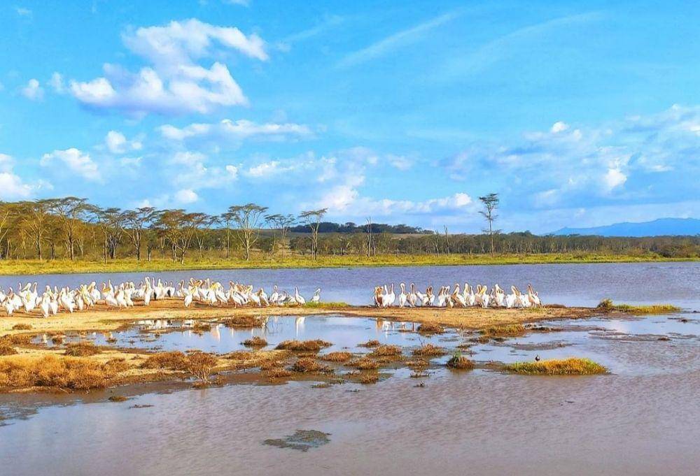 Lake Nakuru (instagram.com/easttothesun)