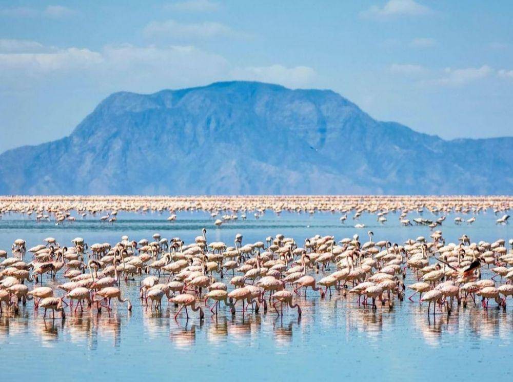 Lake Natron (instagram.com/awesomemaps)