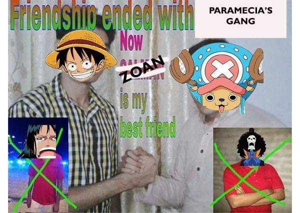 Luffy yang akhirnya menjadi satu tipe dengan Chopper ( Dok. Berbagai Sumber )