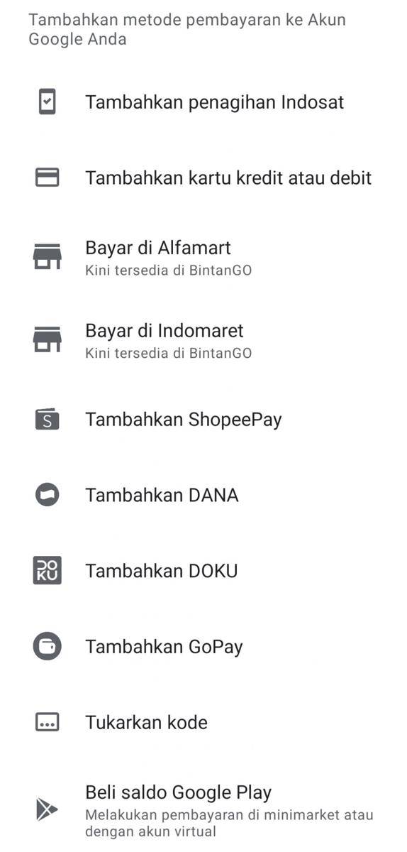 Pilihan pembayaran yang tersedia untuk aplikasi BintanGO. (IDN Times/Nena Zakiah)
