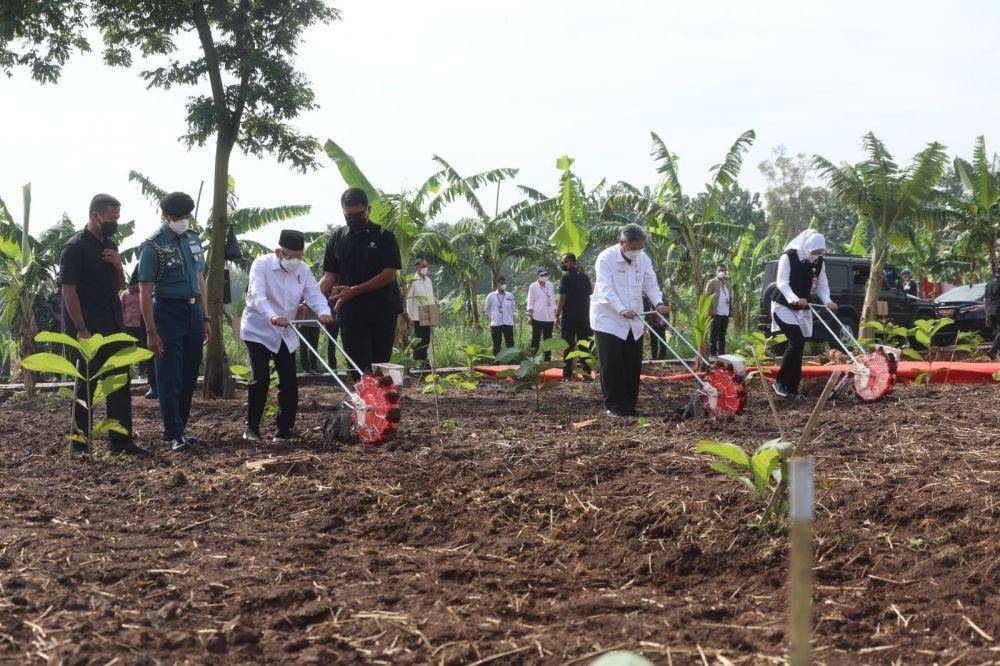Wapres mengikuti kegiatan menanam jagung kedelai di Kabupaten Purwakarta, Senin (28/3/2022). (Dok. Kementan)