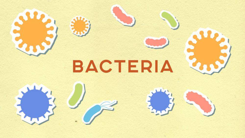 ilustrasi bakteri (pexels.com/Monstera)