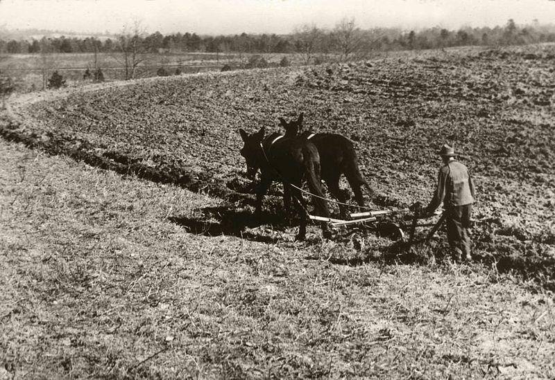 Pertanian selama Dust Bowl, sekitar tahun 1930-an. (commons.wikimedia.org/U.S. Department of Agriculture)