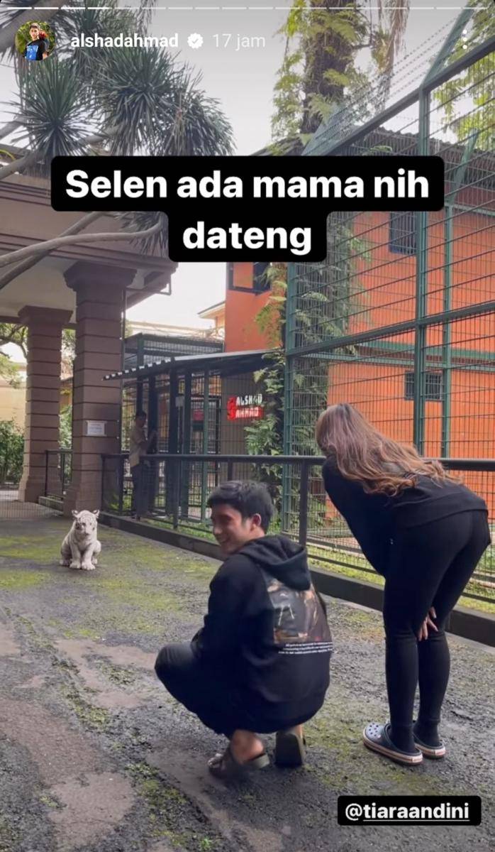 potret Alshad Ahmad dan Tiara Andini (instagram.com/alshadahmad)