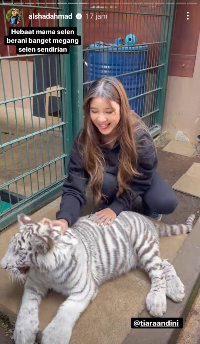 potret Alshad Ahmad dan Tiara Andini (instagram.com/alshadahmad)