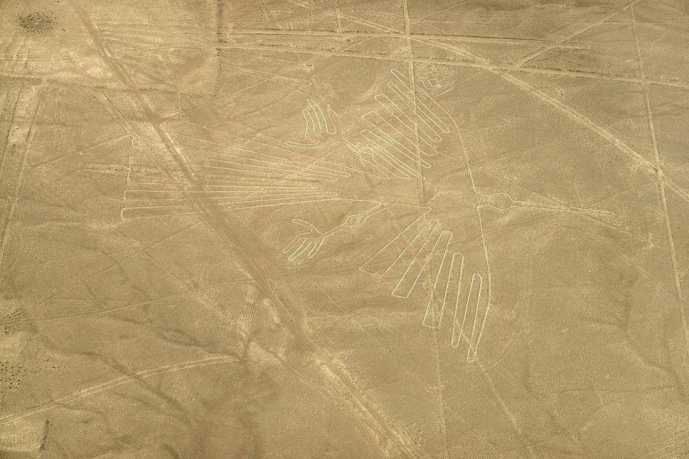 potret geoglyph Nazca Lines berbentuk seperti burung (commons.wikimedia.org/PsamatheM )