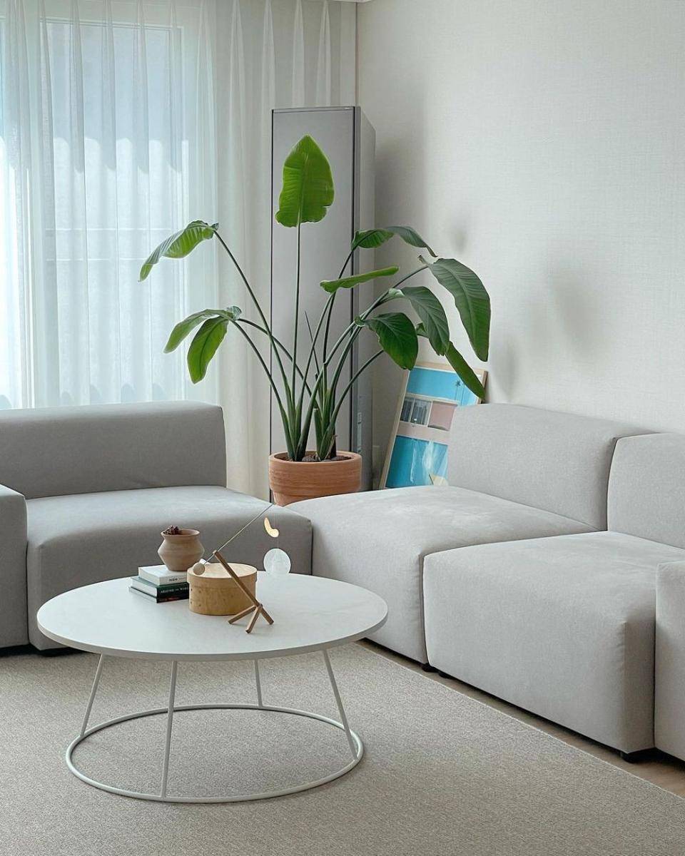 Dekorasi tanaman hias minimalis. (instagram.com/_om.ys)