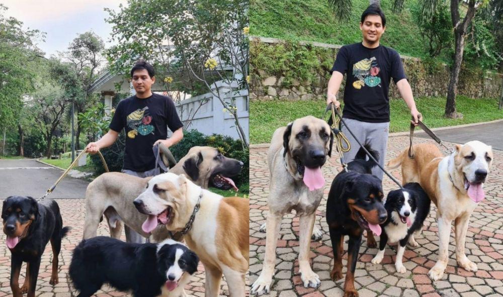 9 Potret Lucky Hakim Mengurus Anjing Peliharaan, Gak Takut Digigit