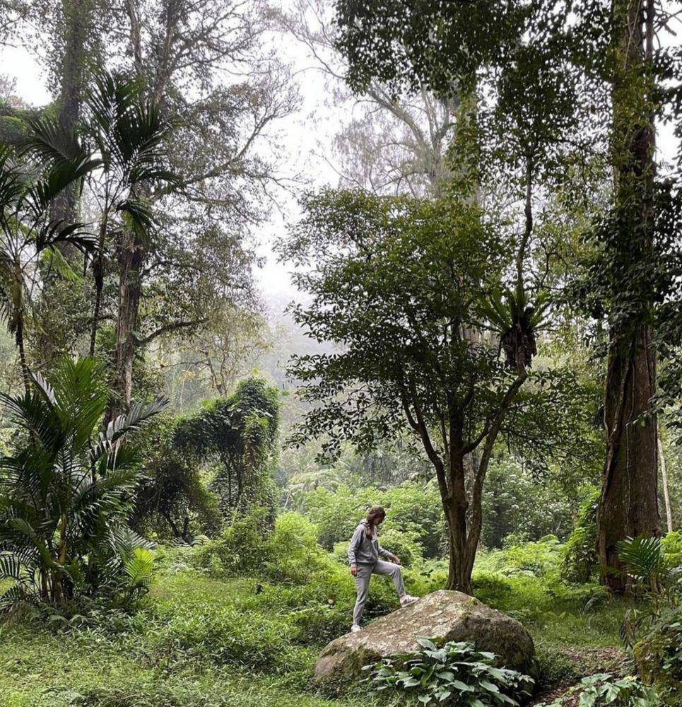 Kebun Raya Bali (instagram.com/laura__coppens)