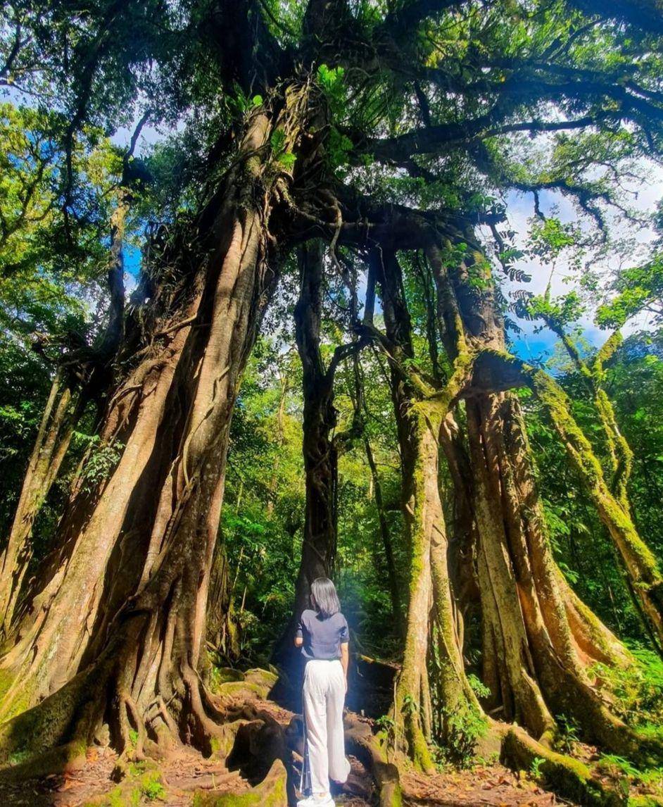 Kebun Raya Bali (instagram.com/ririemily16)