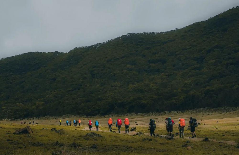 9 Potret Alun-Alun Surya Kencana, Surga Edelweiss di Gunung Gede