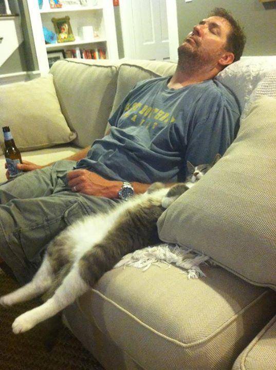 potret kucing tidur (imgur.com/user/BluntSabbath)