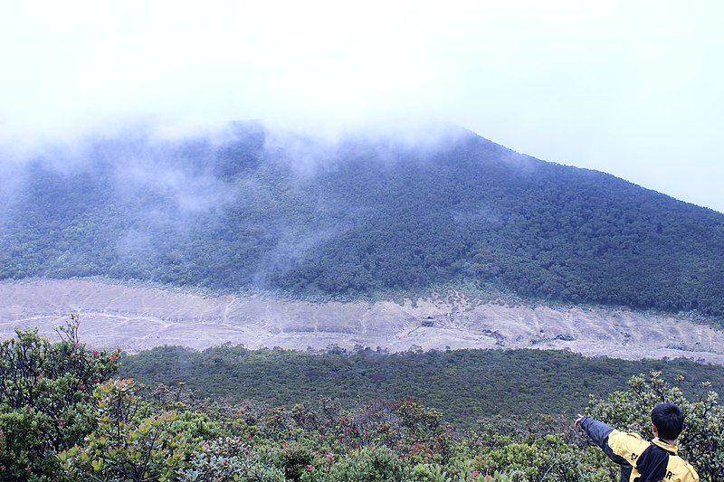 ALun-Alun Surya Kencana, Gunung Gede (commons.wikimedia.org)