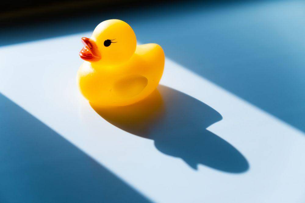 ilustrasi bebek karet (unsplash.com/s_tsuchiya)