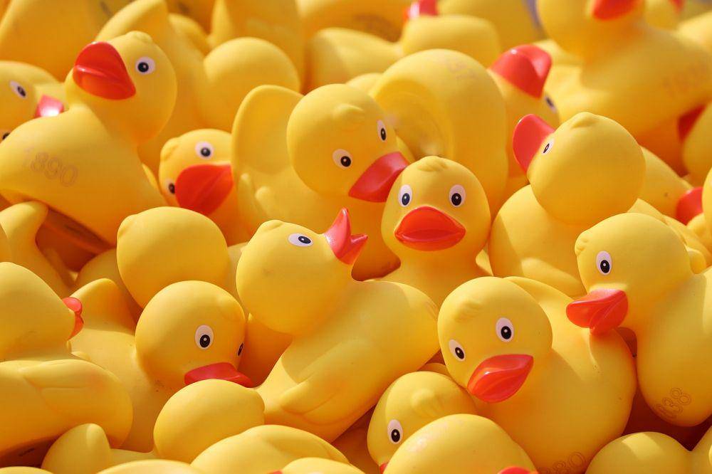 ilustrasi bebek karet (pixabay.com/manfredrichter)