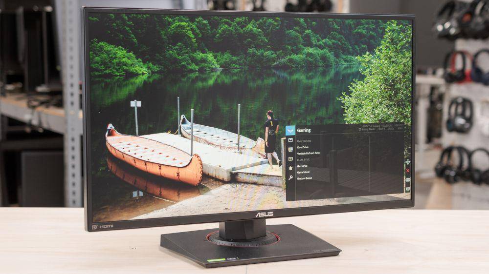 potret Asus TUF Gaming VG259QM (rtings.com)