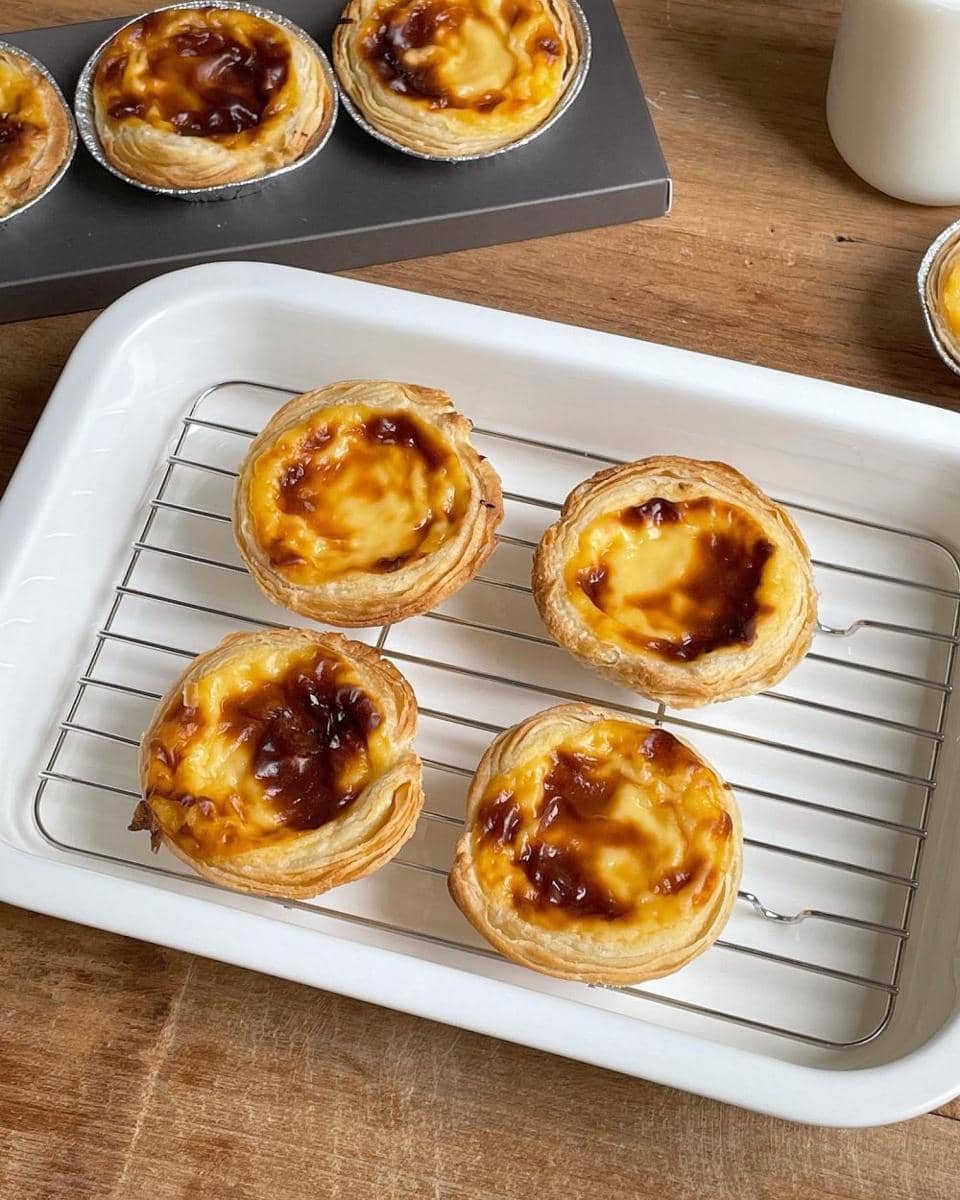 eggnog (instagram.com/___dodoi)