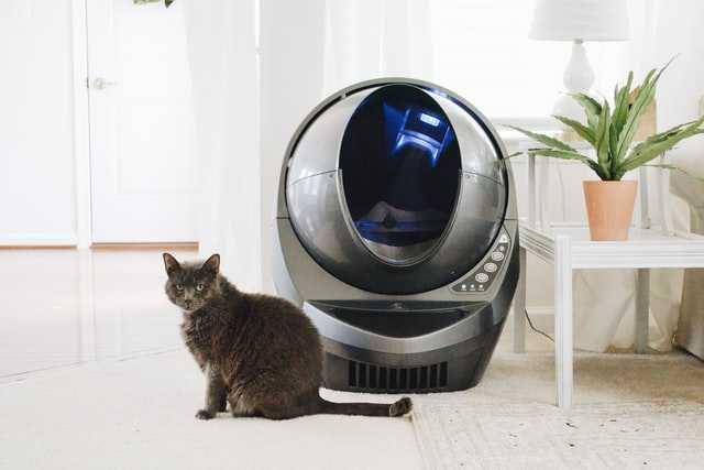 ilustrasi litter box di ruangan (unsplash.com/Litter Robot)