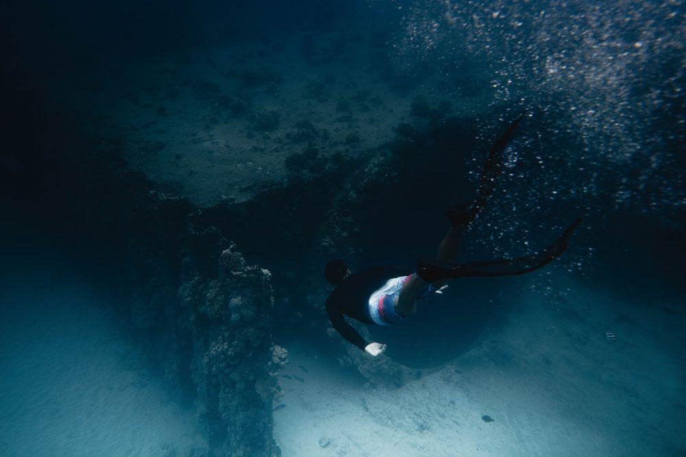 7 Hewan Laut Dalam Terindah Karena Keunikannya