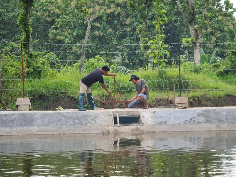 Embung Airi 25 Ha Sawah Petani di Blora. (Dok. Kementan)